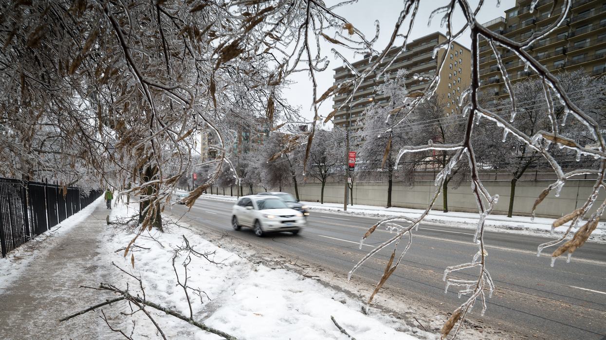 Une rue enneigée avec des arbres couverts de verglas et des voitures sur la route.