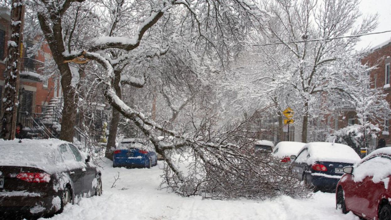 Une tempête avec un cocktail de précipitations et des vents violents s'approche du Québec