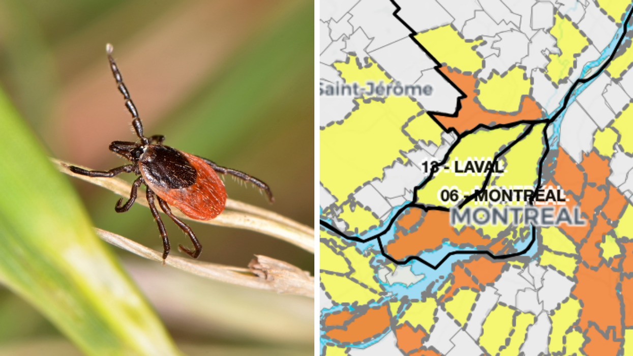 Une tique. Droite. : La carte des tiques au Québec.