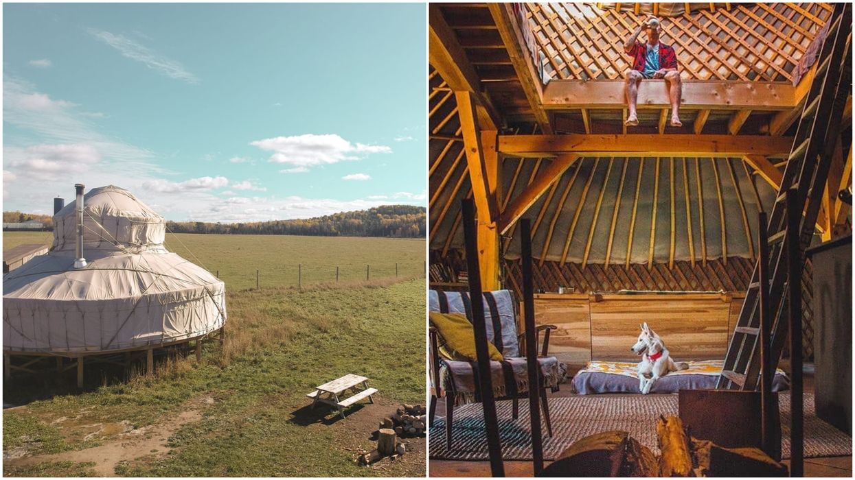 Unique Airbnb Near Ottawa Offers The Chance To Sleep Surrounded By Wild Buffalo (PHOTOS)