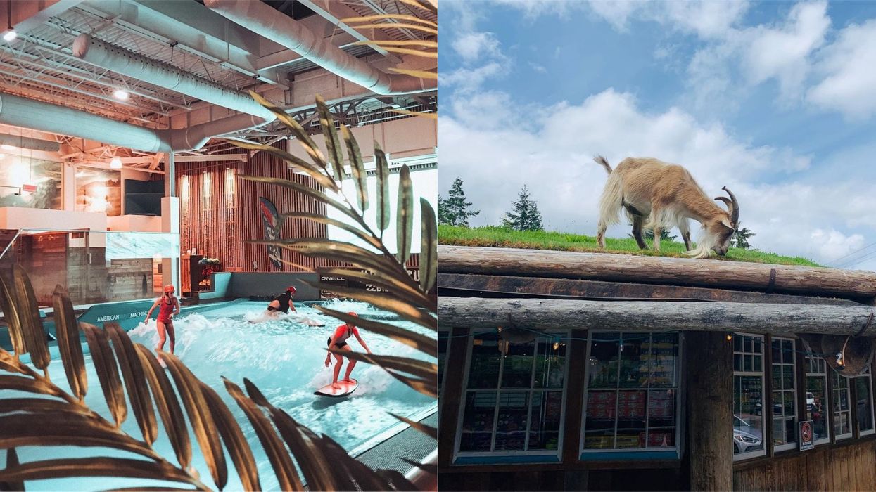 Unique Restaurants In Canada With Eccentric Dining Experiences