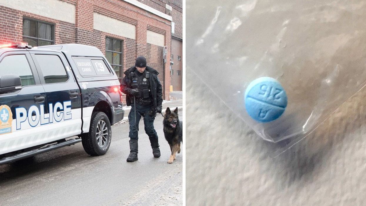 Unité canine du SPVM. Droite : comprimé d'isotonitazène.