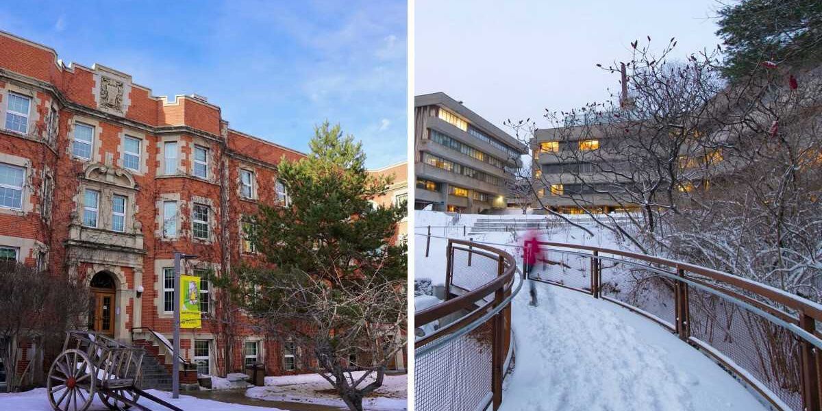 Canadian universities offer free courses and you can take these classes online Canadian universities offer free courses and you can take these classes online