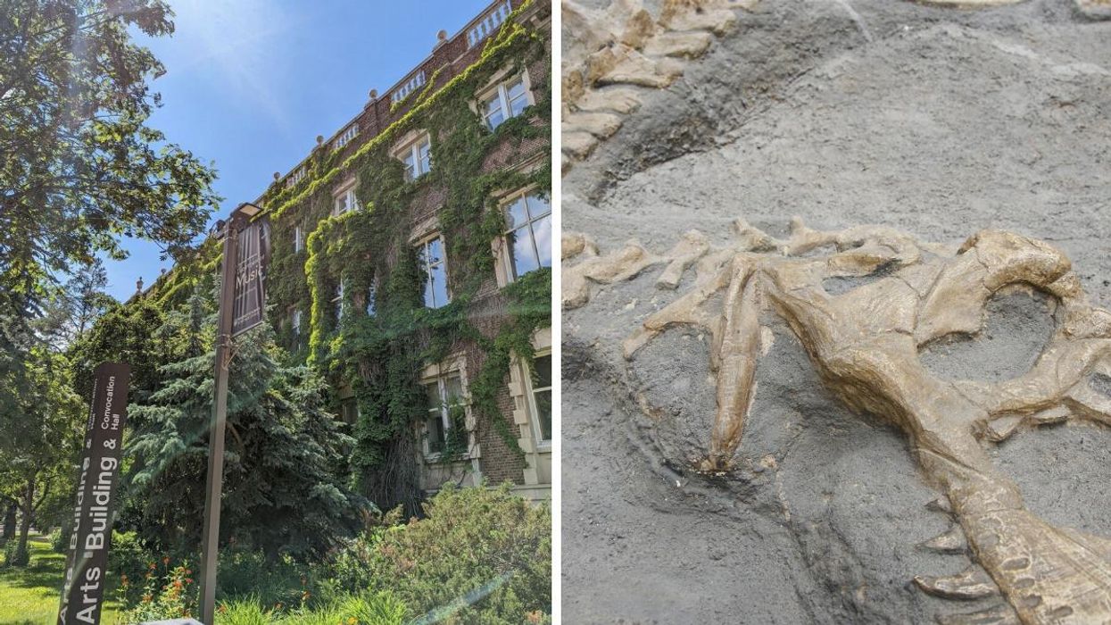 University of Alberta. Right: A dinosaur fossil.