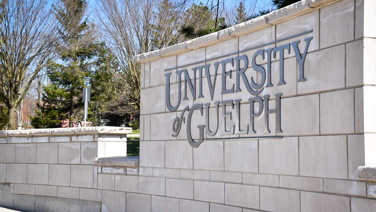 University of Guelph Is Considering A Curfew After COVID-19 Outbreak On Campus