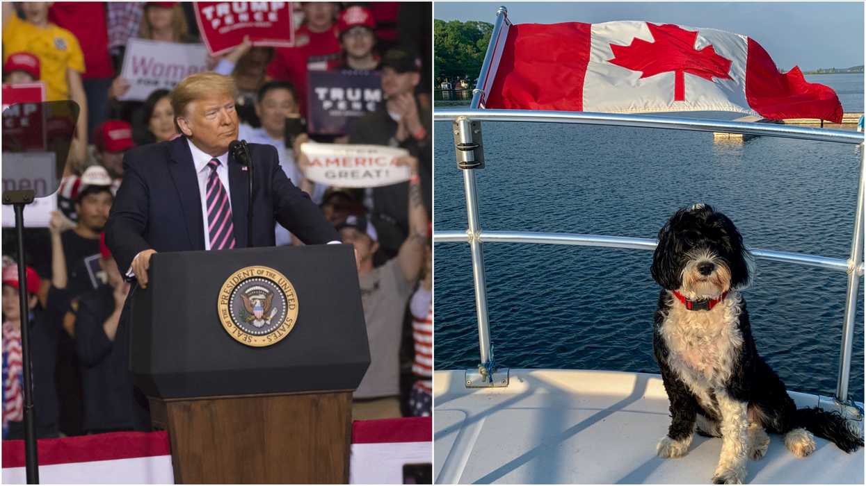 US Election: 'Emotional Support Canadians' Is Still Trending & Now Animals Are Involved