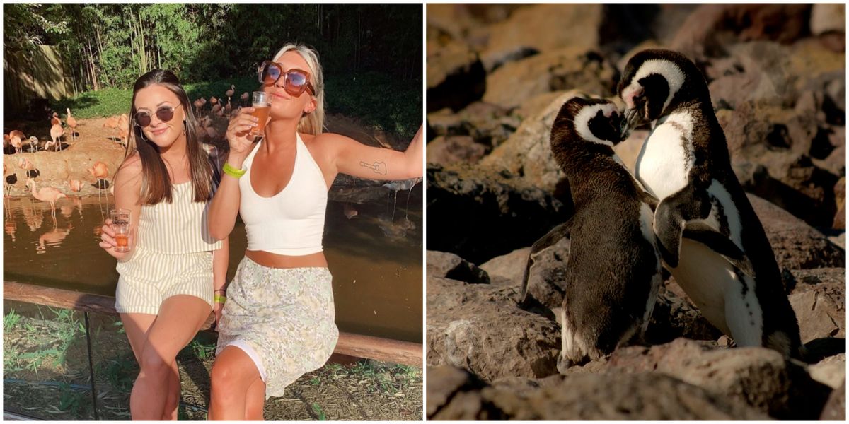 Specials restaurant valentine fox valentines dinner year headlines flash feb foxnews Valentine's Day In Atlanta 2020 Is All About This Romantic Dinner At