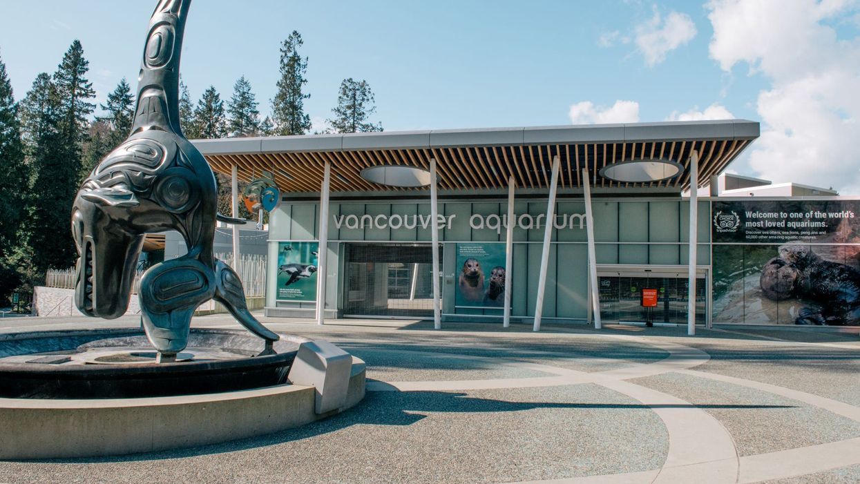 Vancouver Aquarium's Closing Temporarily & Over 200 People Will Lose Their Jobs