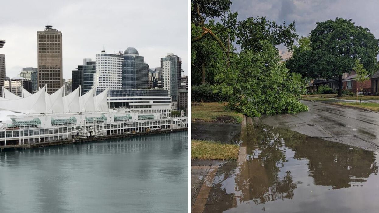 Vancouver, B.C. Right: Broken tree branch after storm.