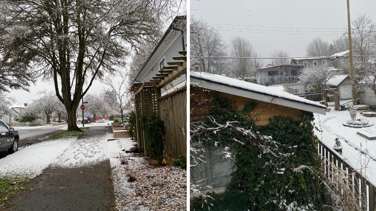 Vancouver Got A Sprinkling Of Snow Today & Everyone Is Acting Like It's A Blizzard