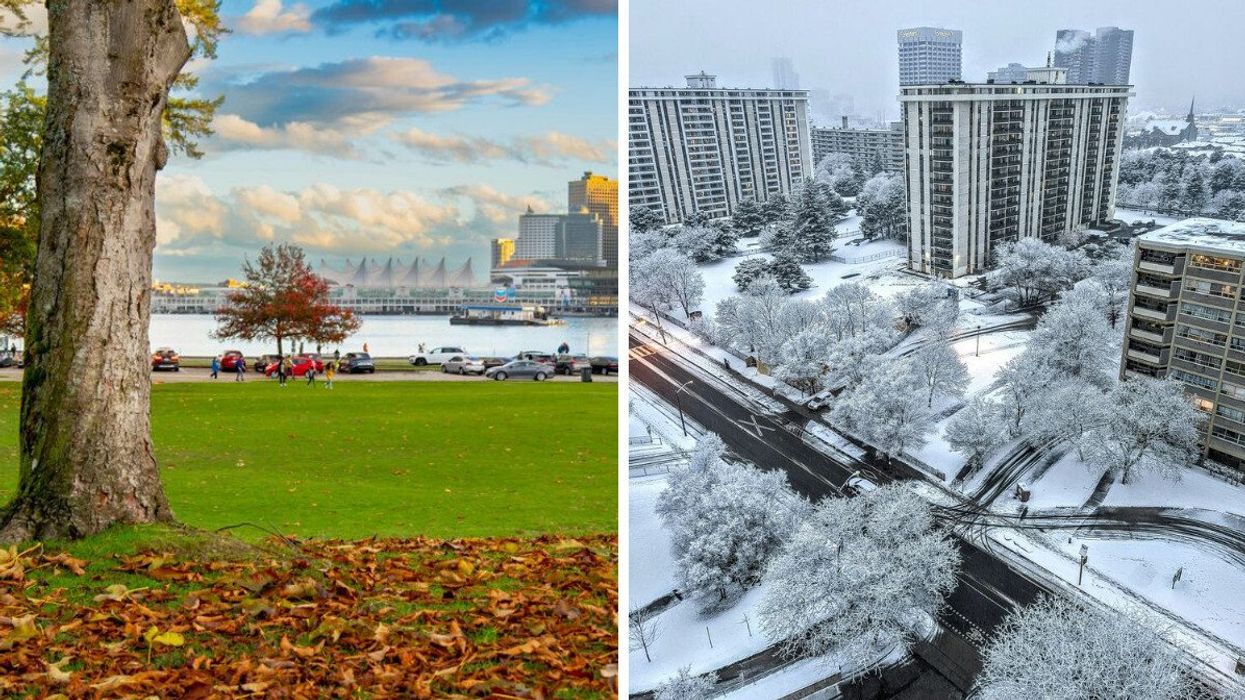 vancouver stanley park in the fall. right: toronto street with snow covered trees