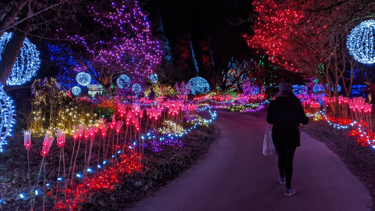 VanDusen's Light Festival With Over One Million Lights Opens Next Month In Vancouver