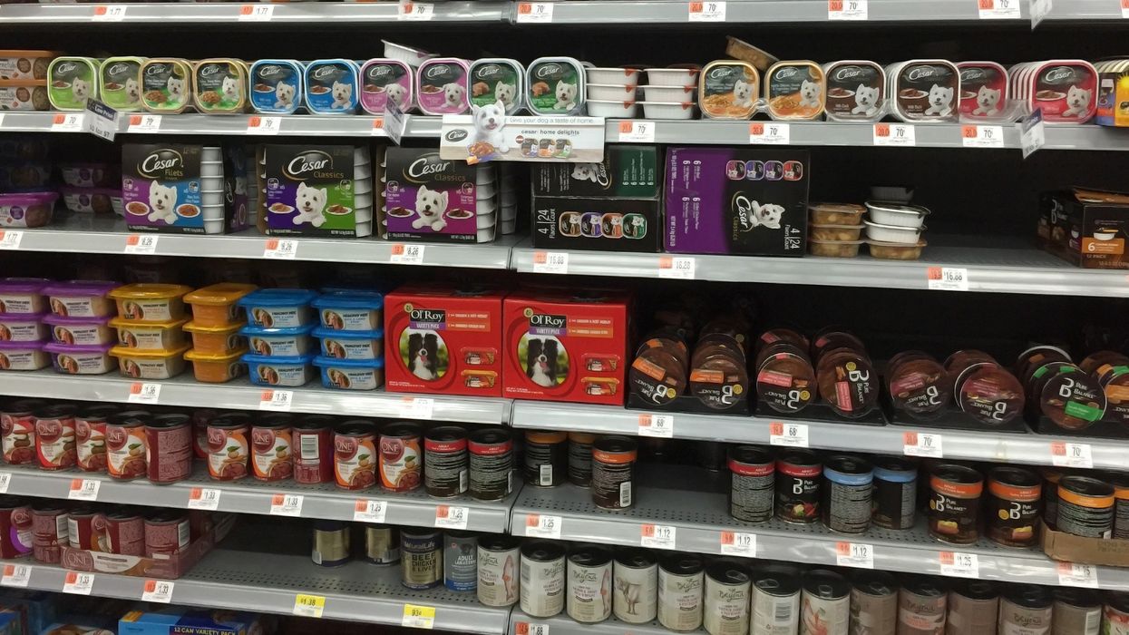 various dog food brands on shelves at a store