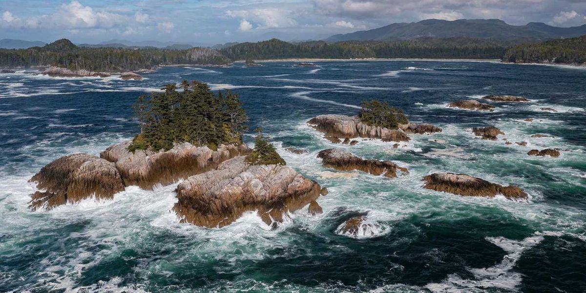 Vast marine conservation reserve, bigger than P.E.I., to protect B.C. central coast Vast marine conservation reserve, bigger than P.E.I., to protect B.C. central coast