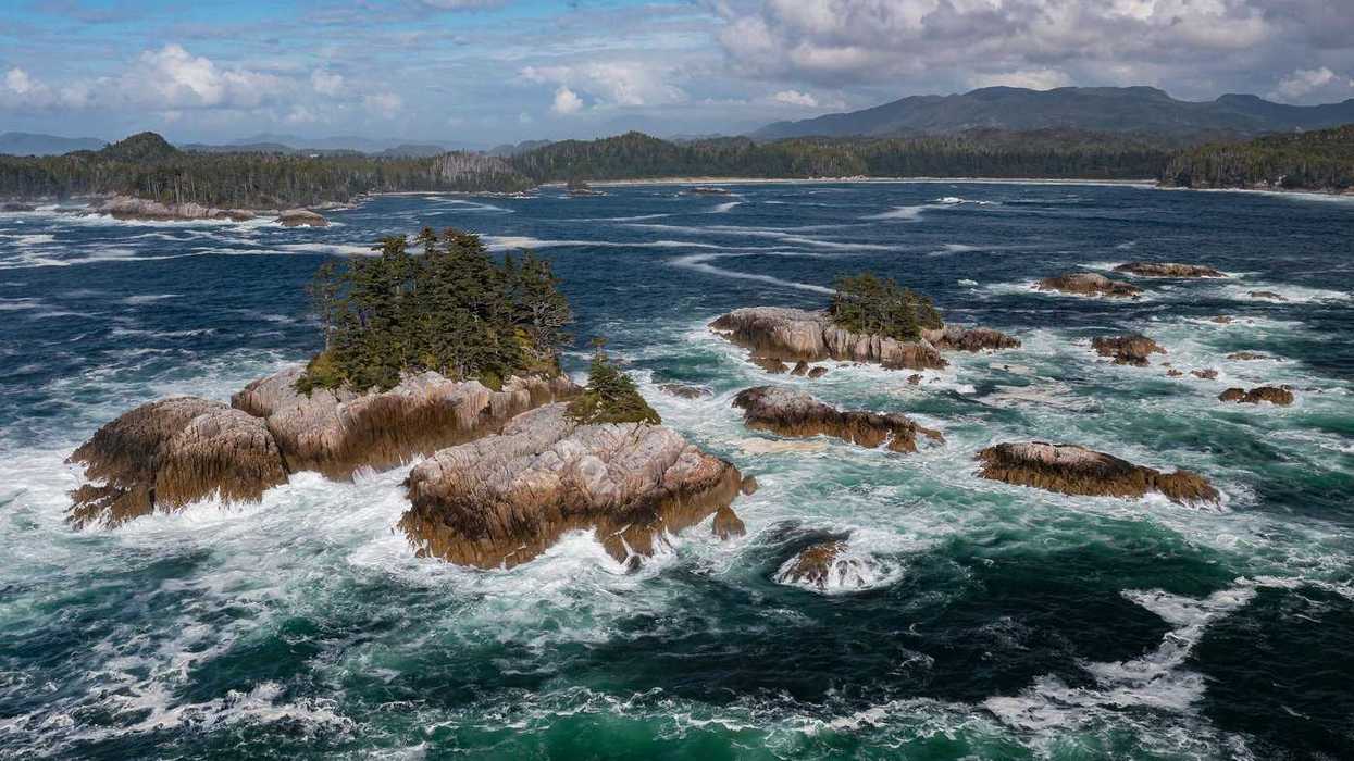 Vast marine conservation reserve for B.C.'s coast