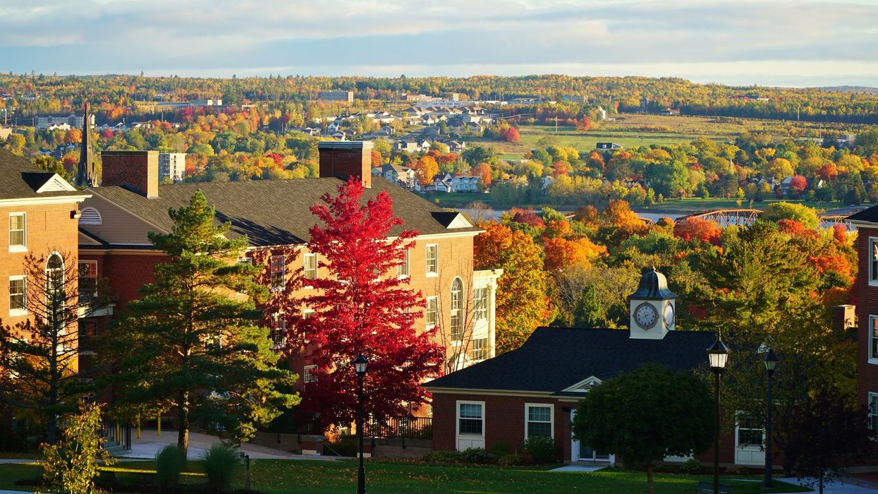 View from a hill of a Canadian town filled with green, yellow, orange and red trees on a sunny day.