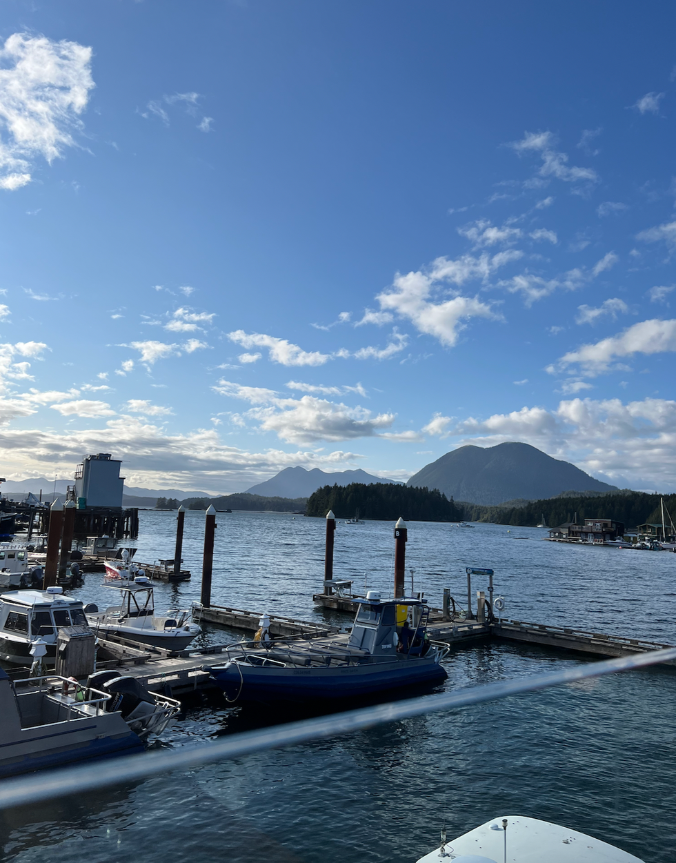 View from Shelter Restaurant patio.
