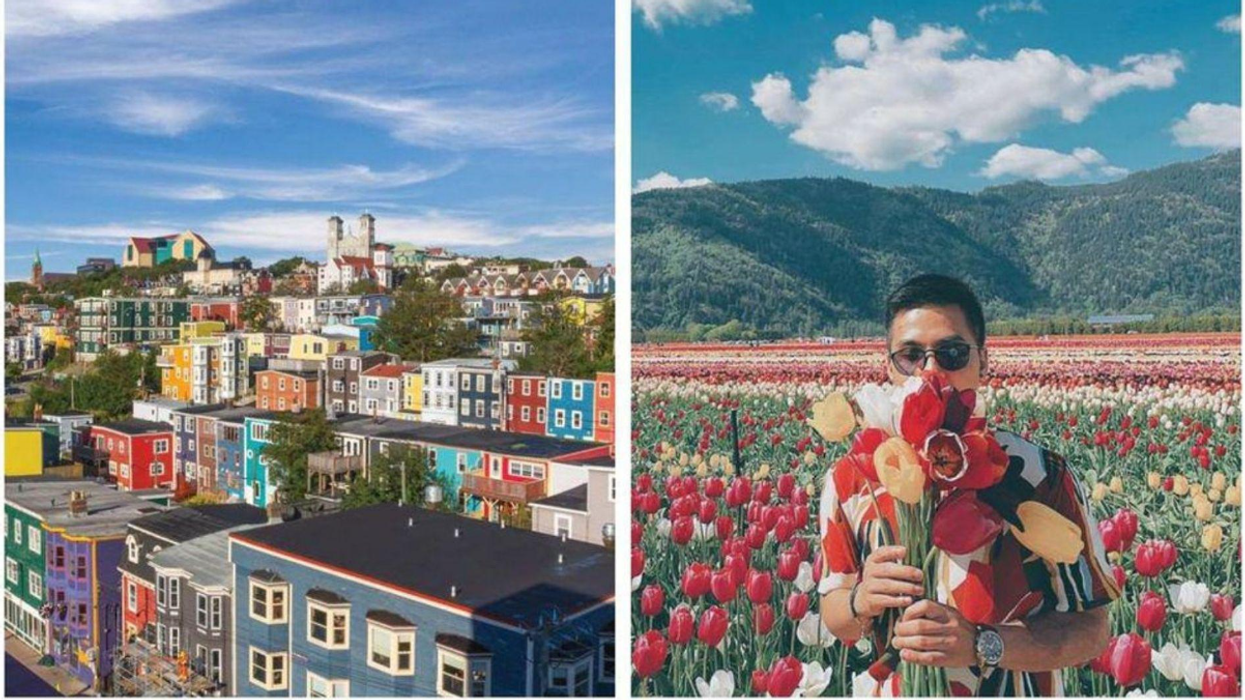 View of St. John's and its many colored houses. Right: Man standing in a field of tulips, smelling a bouquet.