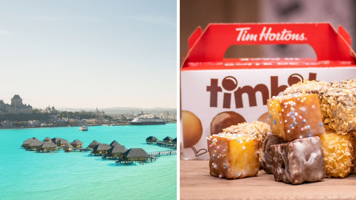 Ville de Lévis. Droite : Tim Hortons.