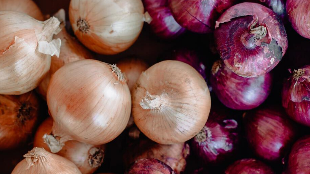Voici quoi savoir sur le rappel de plusieurs marques d'oignons vendues au Québec