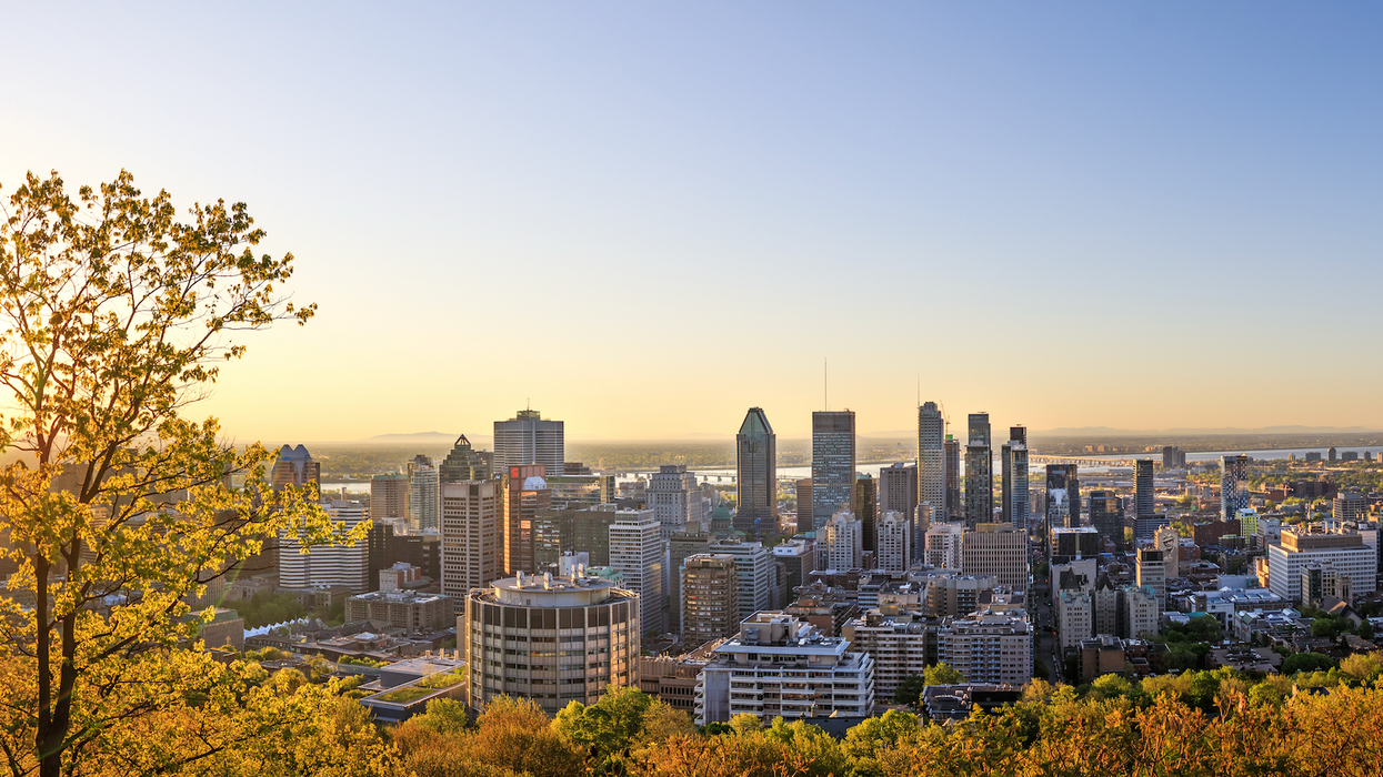 Vue sur le centre-ville de Montréal avec des arbres aux feuilles jaune et orange.