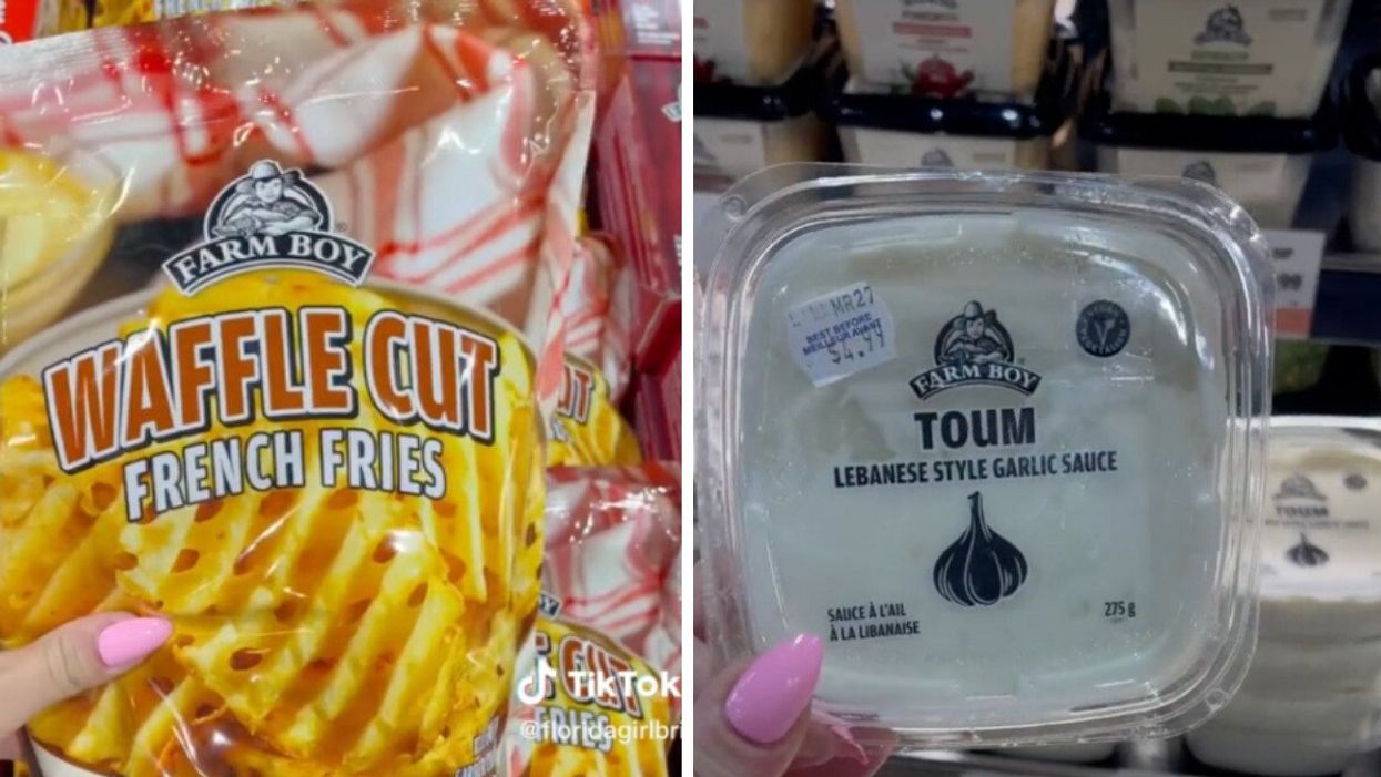 Waffle Cut French Fries from Farm Boy. Right: Toum sauce from Farm Boy.