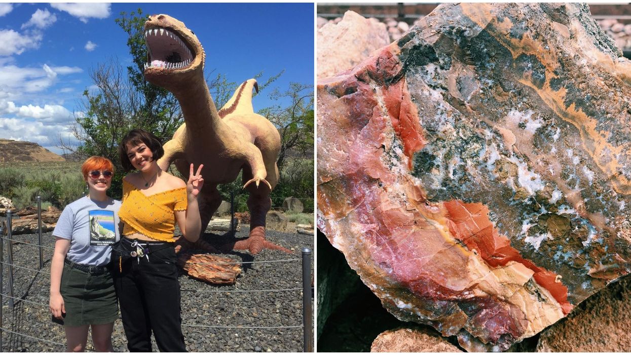 Washington's Gingko Petrified Forest State Park Is Like A Fossilized Wonderland