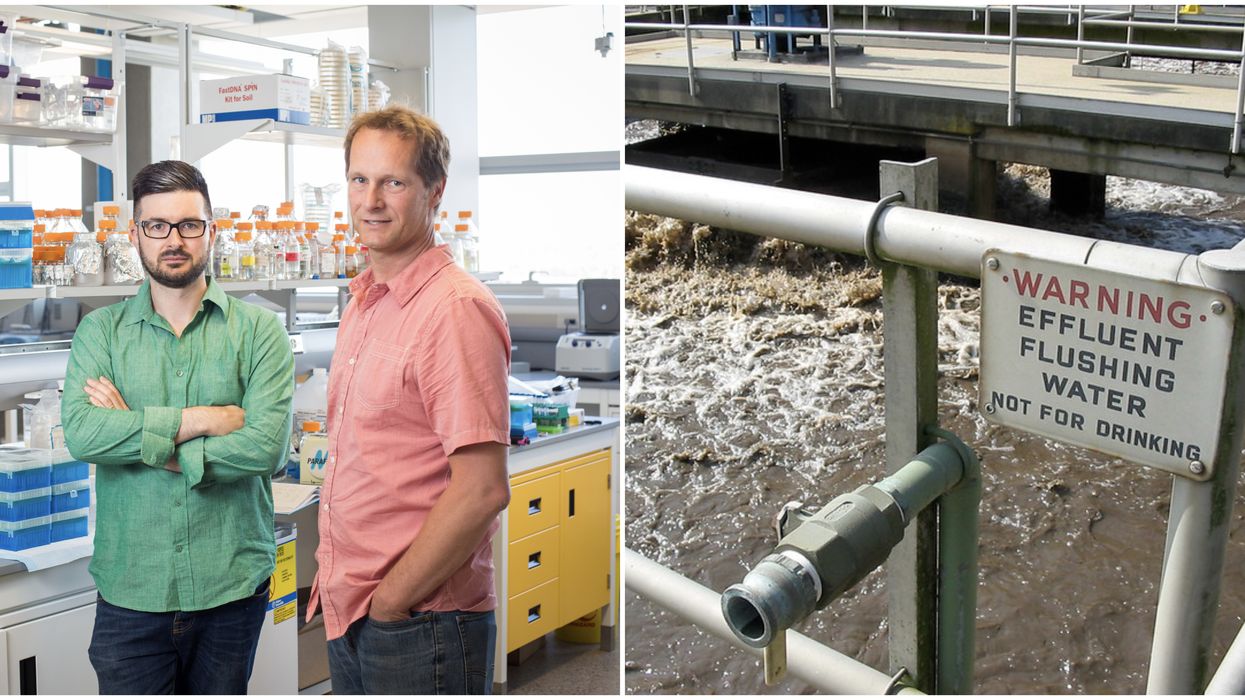 Wastewater In Calgary: Your Poop Could Help Scientists Find COVID-19 Hotspots