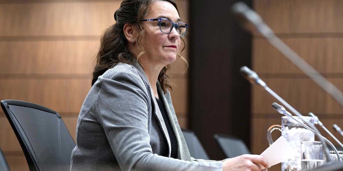 Bid to narrow transparency law ‘a move in the wrong direction,’ info watchdog says Bid to narrow transparency law ‘a move in the wrong direction,’ info watchdog says