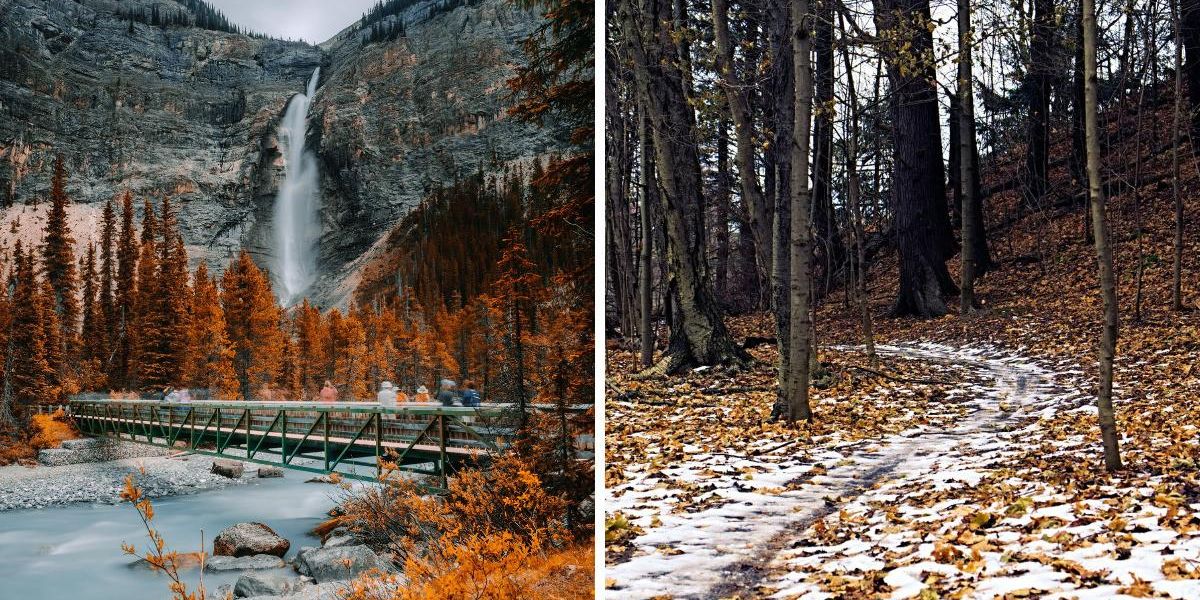 Canada's New Fall Forecast Predicts 'An Extended Summer Season' But ...