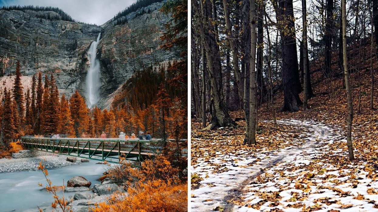 Waterfall and trees with orange foliage in B.C. Right: Snow on top of fallen leaves on a trail in Toronto.