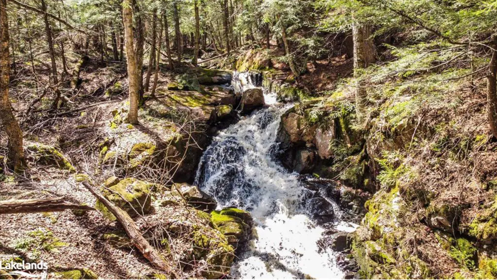 Waterfall in the forest.