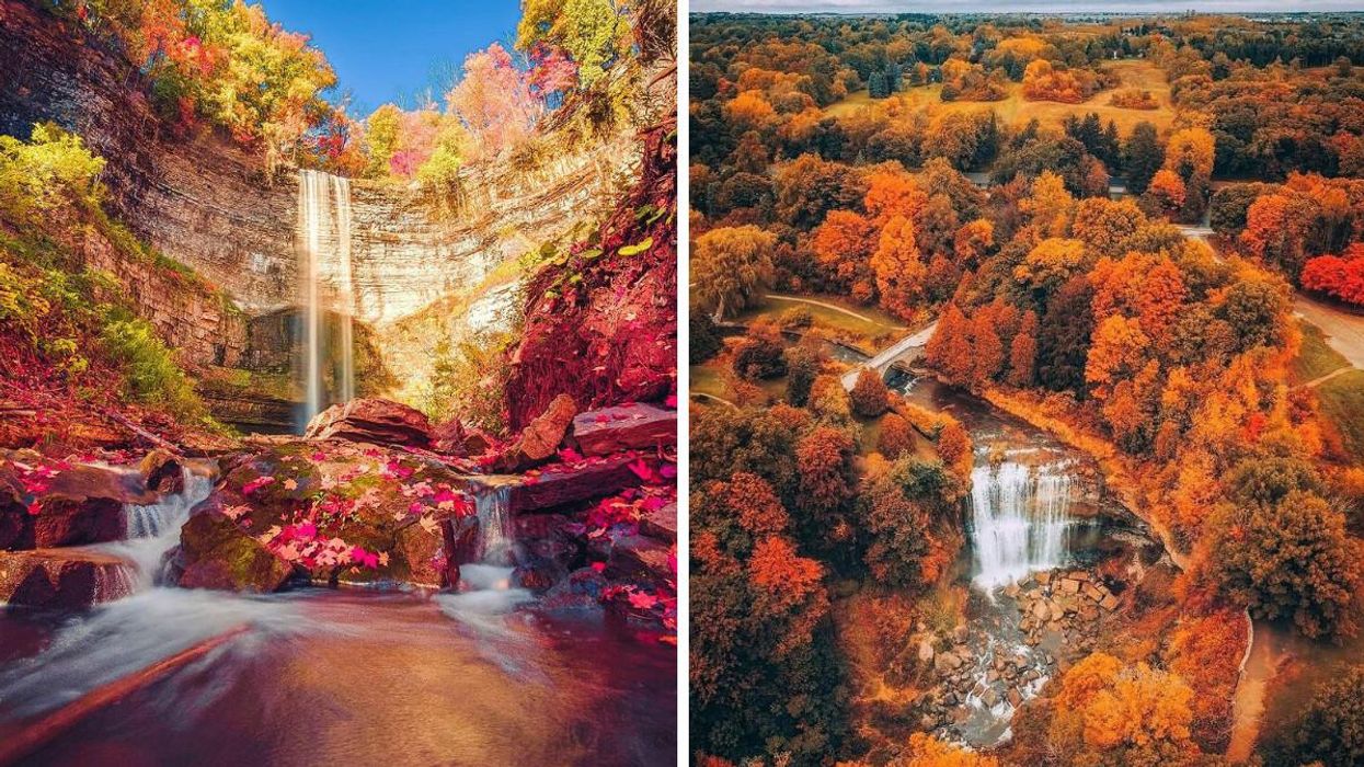 Waterfall surrounded by fall colours.