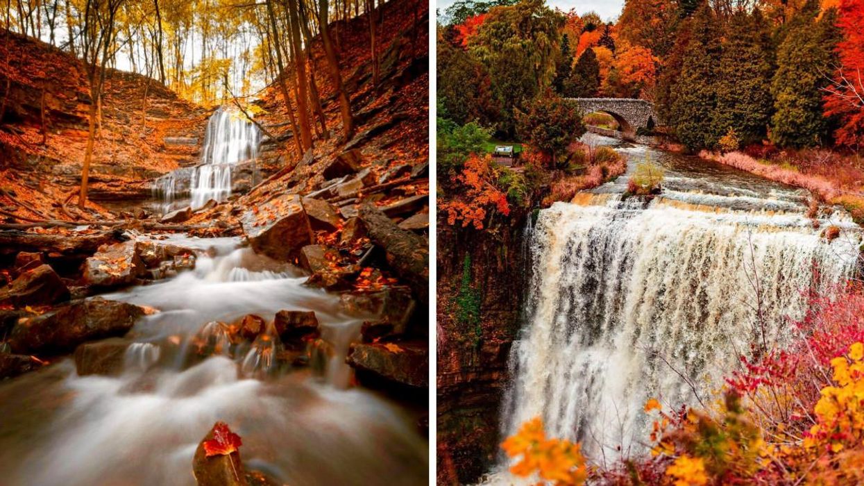Waterfalls surrounded by fall colours.