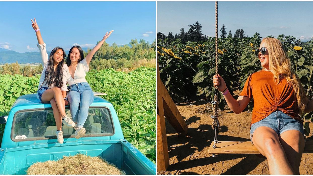 Weekend Things To Do In Vancouver If You Love The Outdoors, August 21 to 23