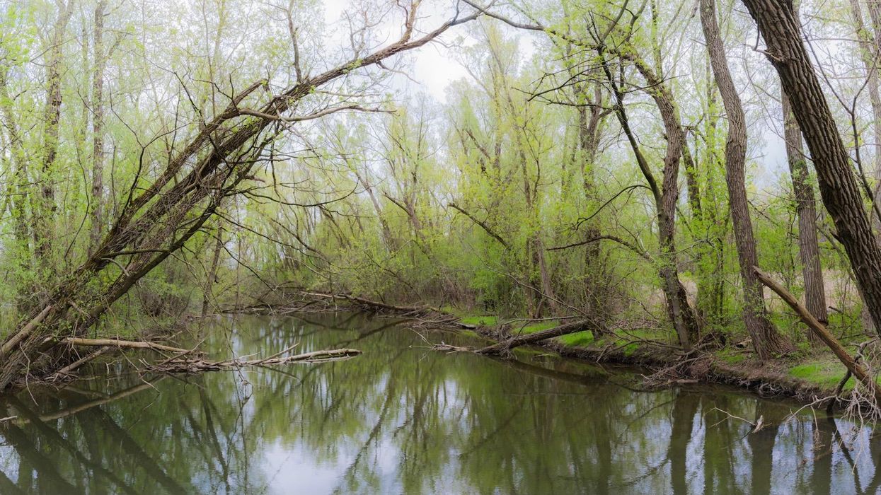 West Nile Virus Found In Mosquitoes In The GTA