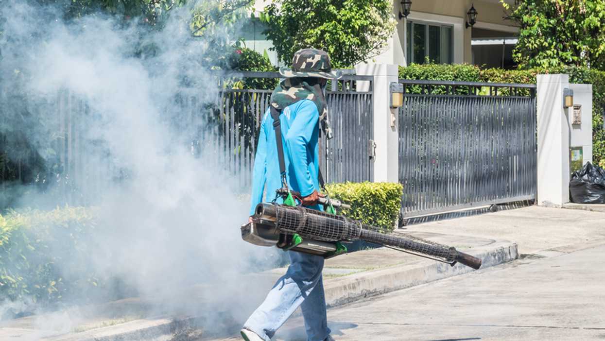 West Nile Virus Hits Miami & It Couldn't Have Come At A Worse Time