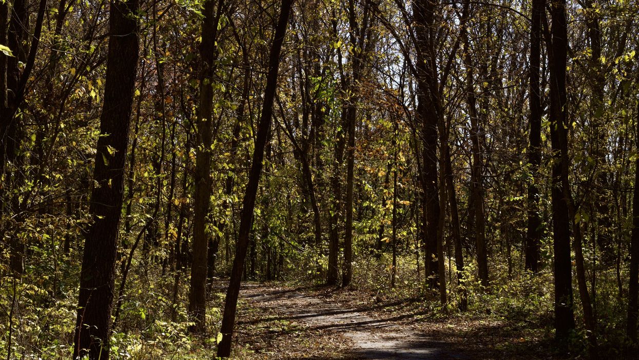 West Nile Virus in Peel Region Was Reported In Both Brampton & Mississauga