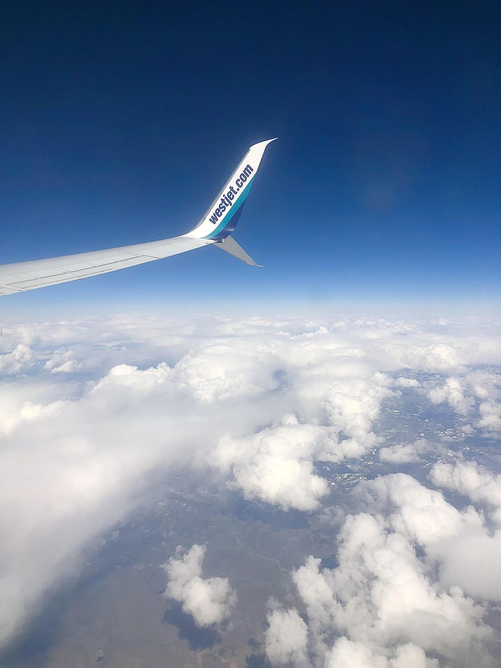 Westjet wing in the air.