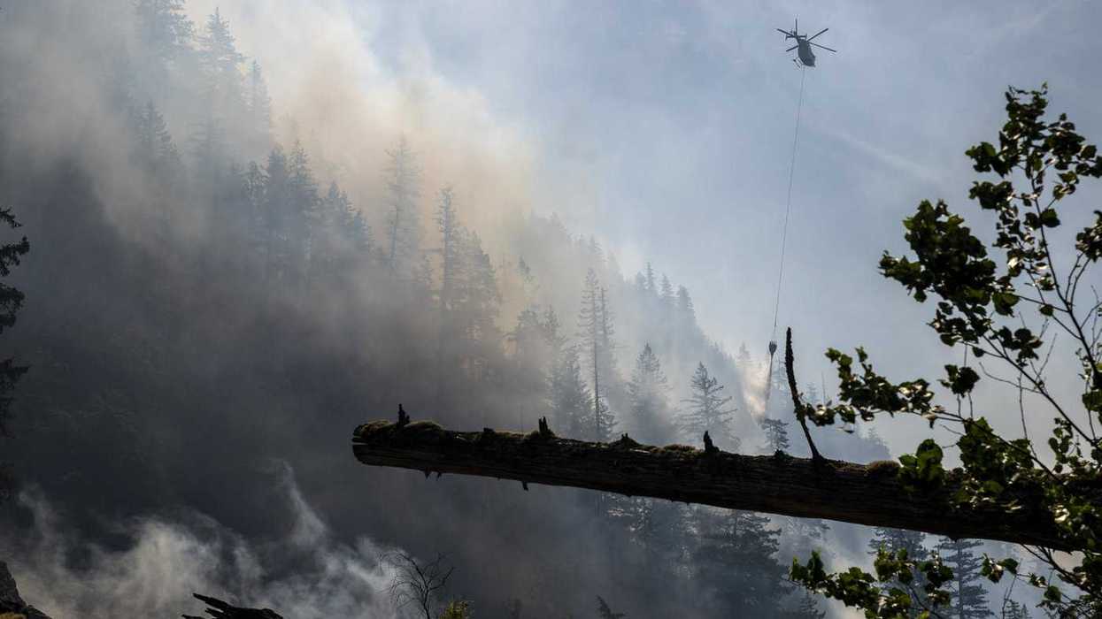 Wet, mild winter 'good news' for B.C. fire season