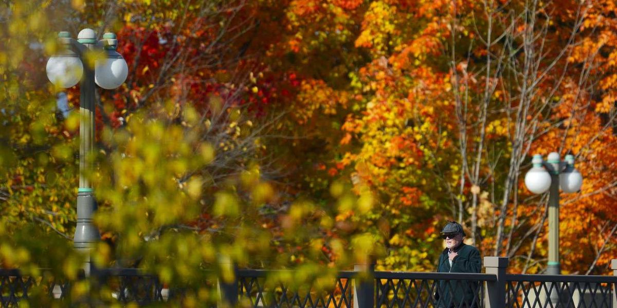 The ‘Super El Nino’ is upon us. What does that mean for Ontario’s fall colours? The ‘Super El Nino’ is upon us. What does that mean for Ontario’s fall colours?