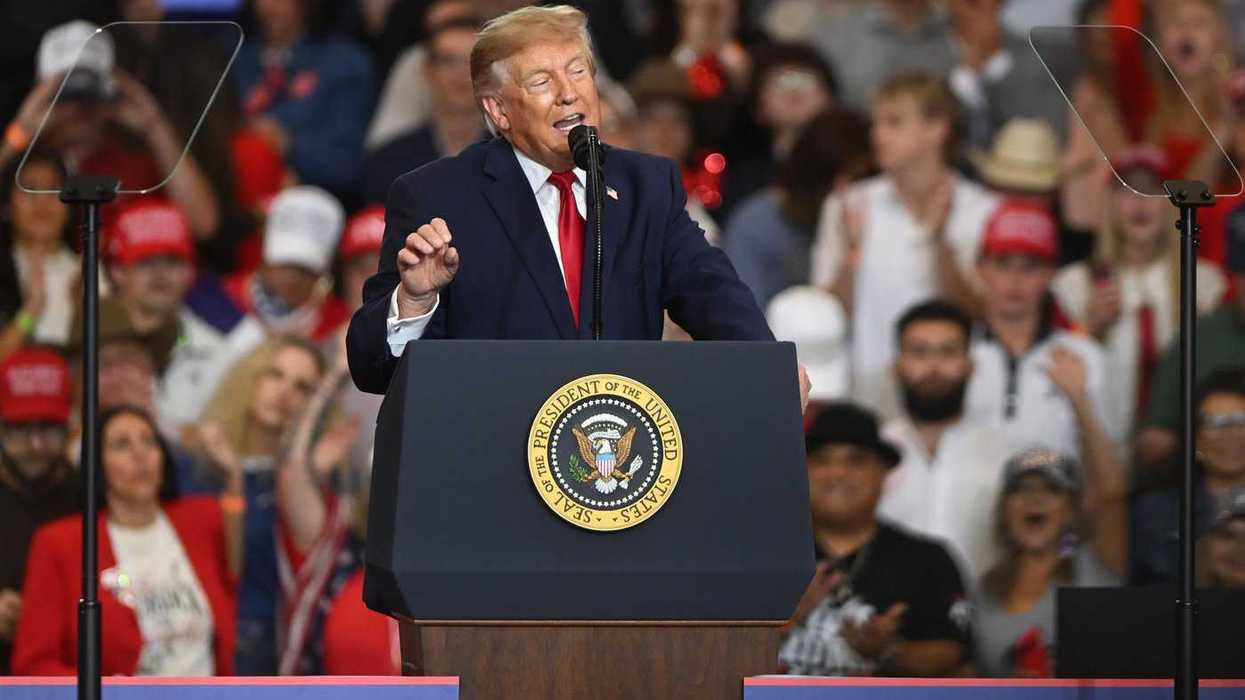 What's driving U.S. midterm voters to the polls