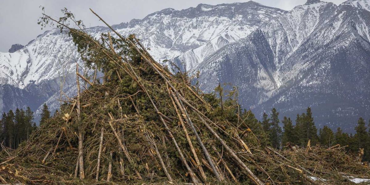 What’s in store for Canada’s 2026 wildfire season? What’s in store for Canada’s 2026 wildfire season?