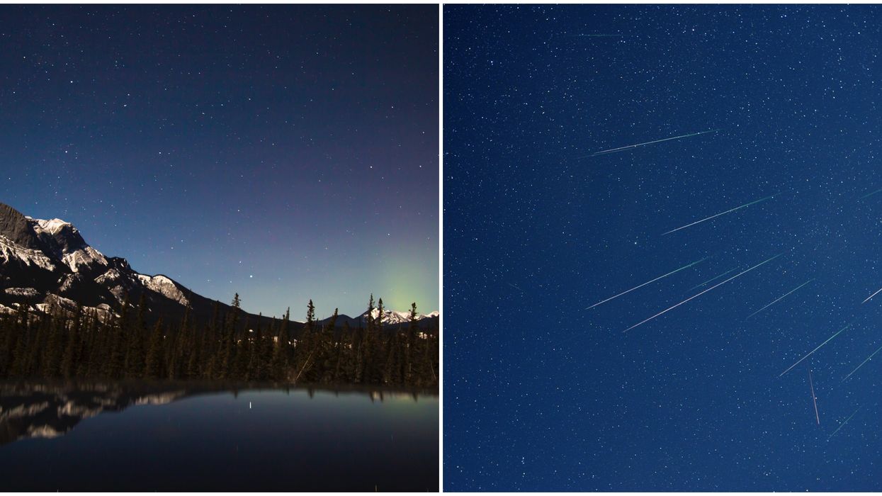 Where To See Perseid Meteor Shower In Canada: 13 Places With Perfect Dark Skies