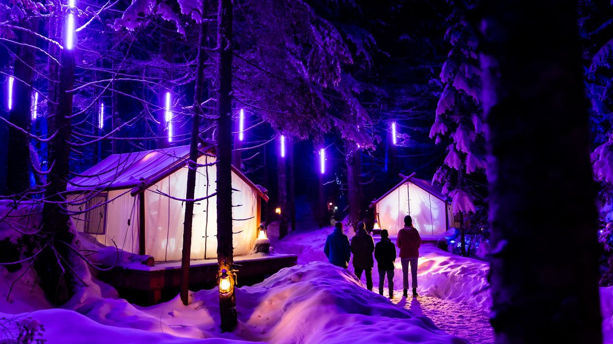 Whistler Light Walk Is A Magically Illuminated Forest Path Opening This Winter In BC