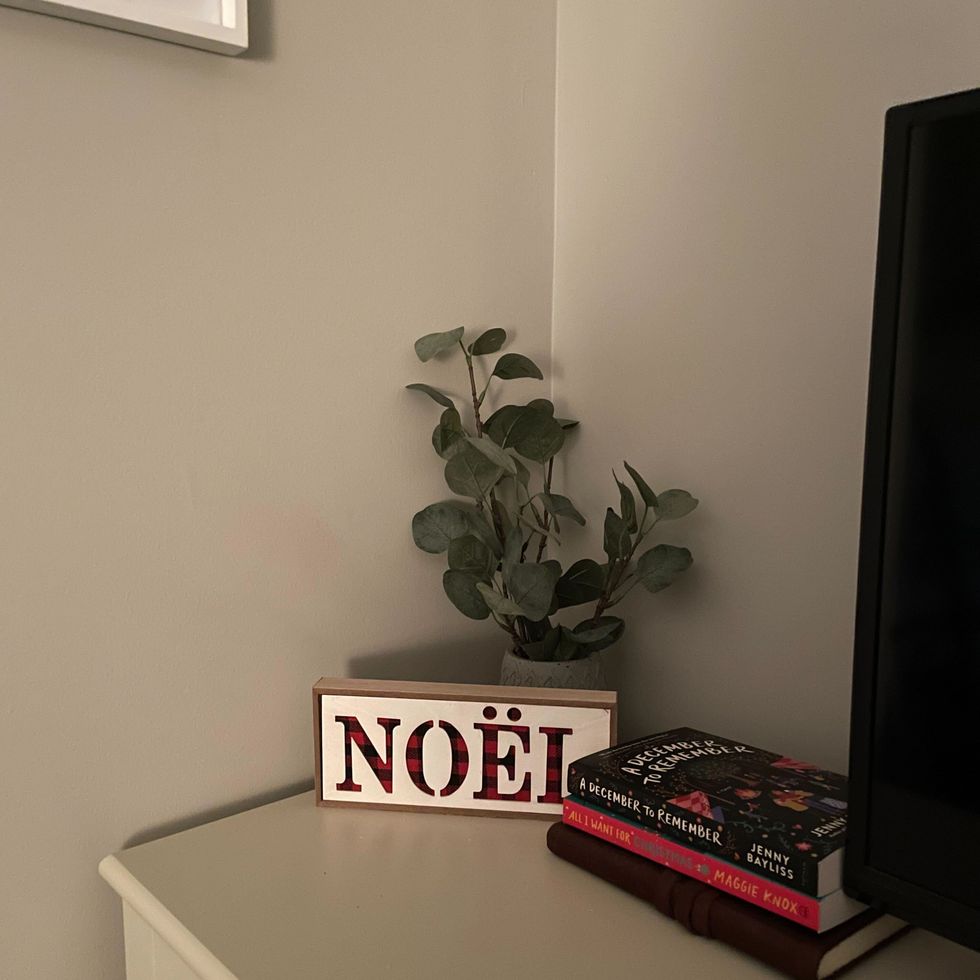 white, red and black noel sign from dollarama in front of a potted plant and beside holiday books