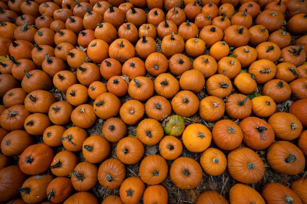Why it's easy to have a Canadian-made Thanksgiving