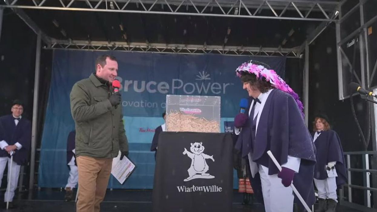 Wiarton Willie Just Predicted An Early Spring Ahead Of Today's Massive Snowstorm