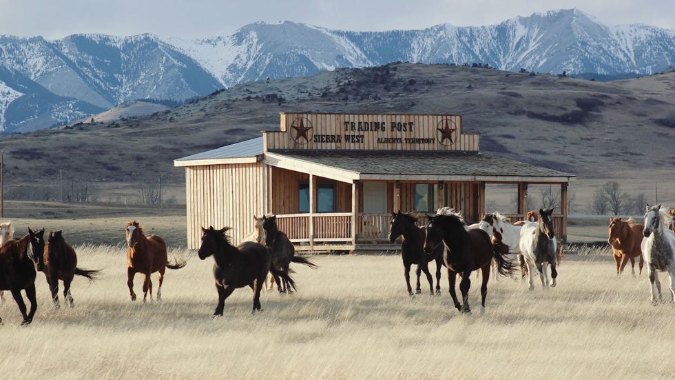 wild west for sale in alberta