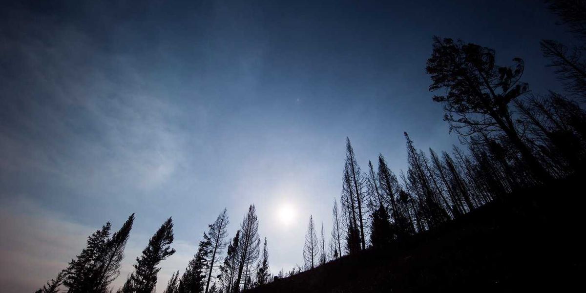 Wildfire evacuation order for Boston Bar, B.C., area alert also extended Wildfire evacuation order for Boston Bar, B.C., area alert also extended
